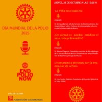 cartel-diamundialpolio2025